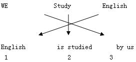 因材施教，提升学生潜能