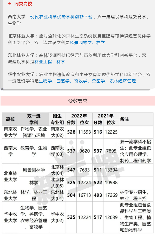 上海新高一