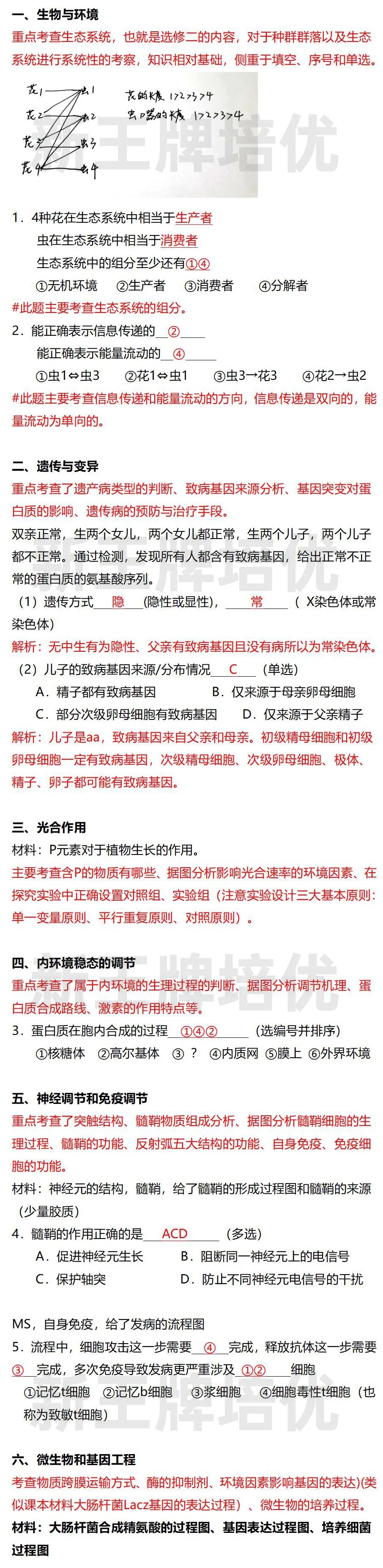 上海等级考
