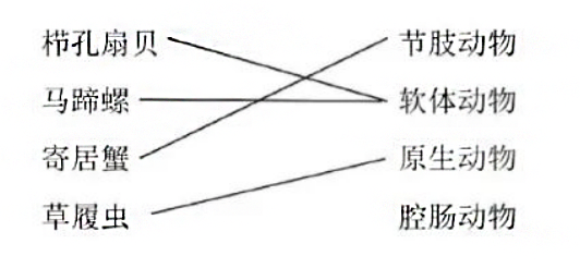 上海中考补习班