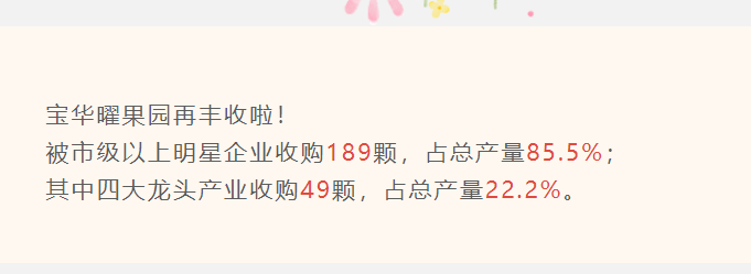 四校录取49人，占比22.2%；市重录取189人，占比85.5%。