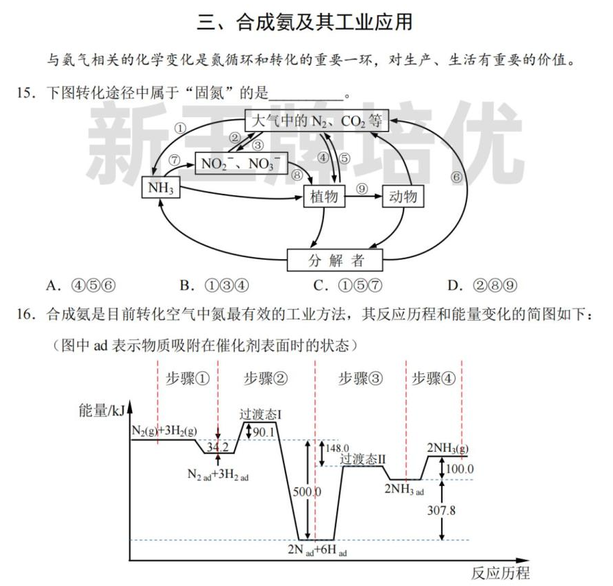 高三一模试卷