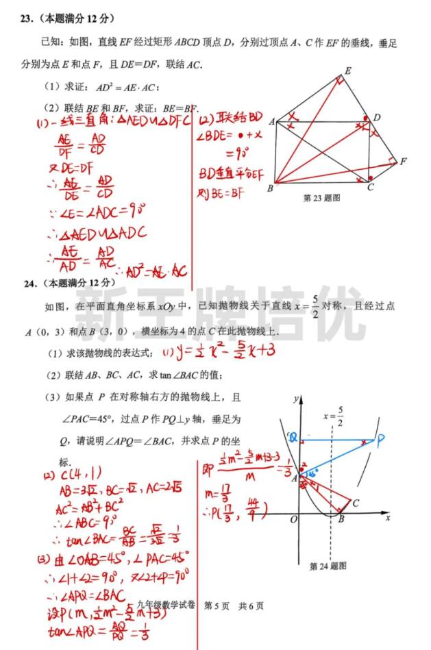 上海初三二模真题圈答案