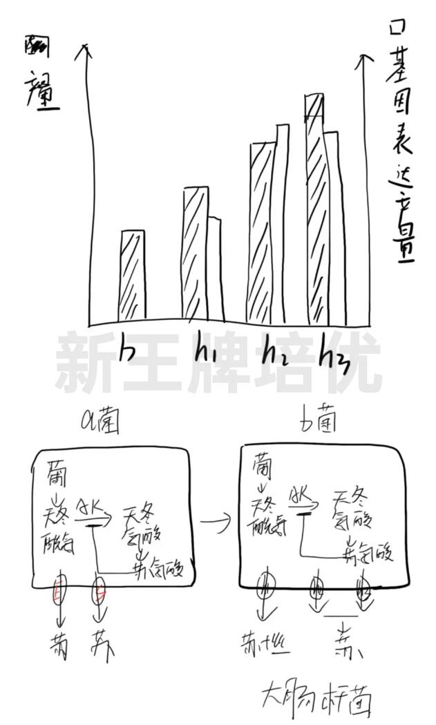 上海生物等级考试