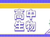 怎样学好高中生物？4个步骤教你搞定|春季补习班
