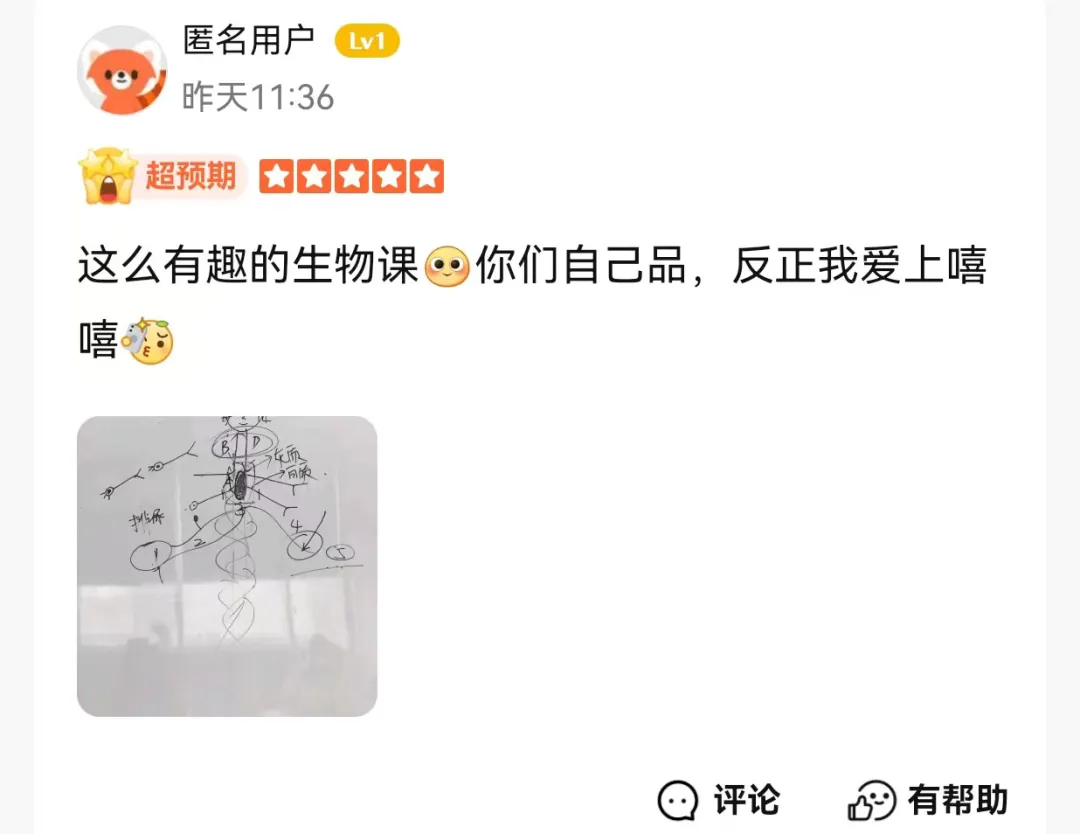 上海补习班