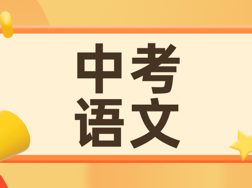 均分121+！普陀、松江24中考语文分数情况分享| 上海秋季补课