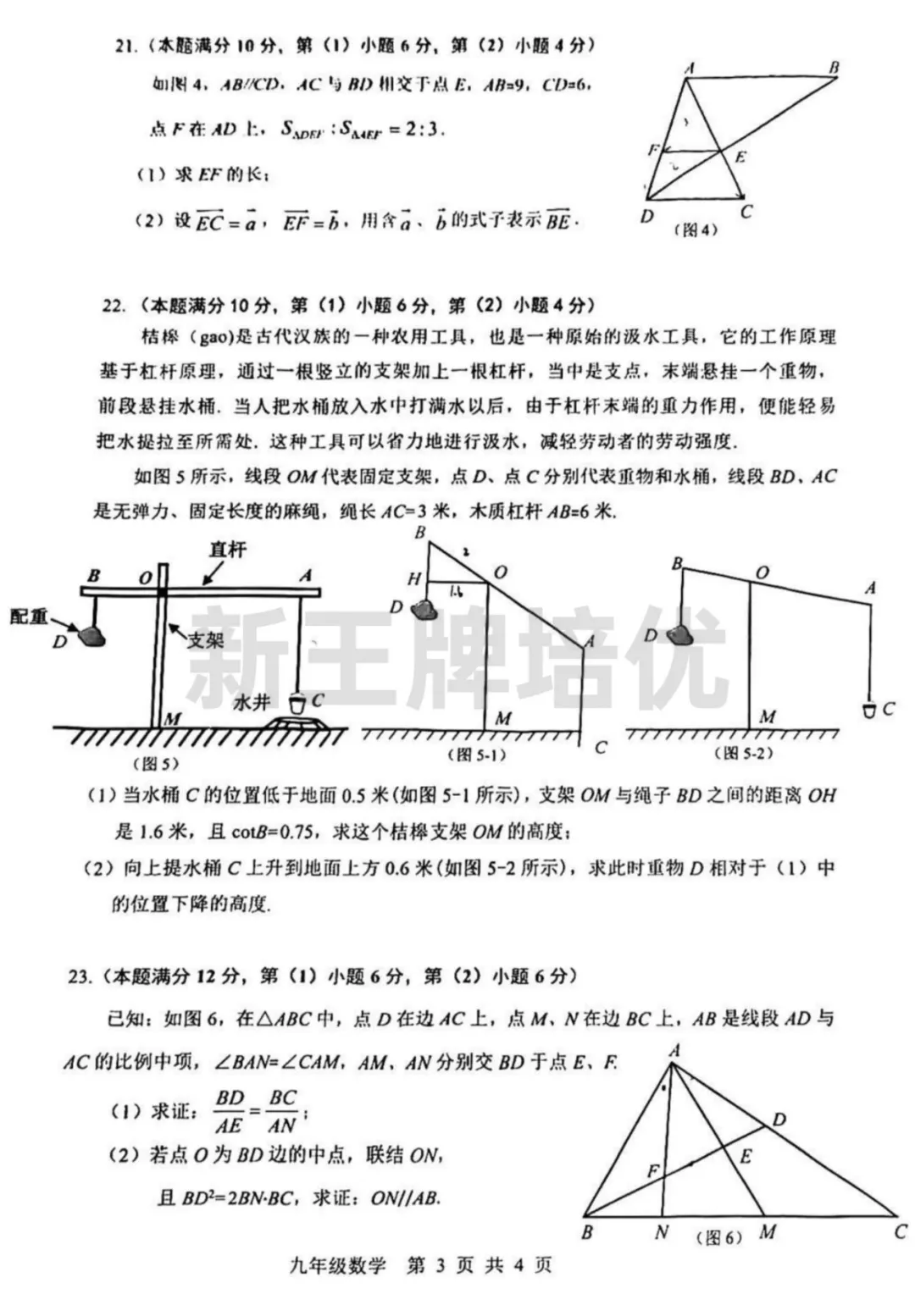 对答案啦！奉贤区最新初三一模试卷及答案分享！