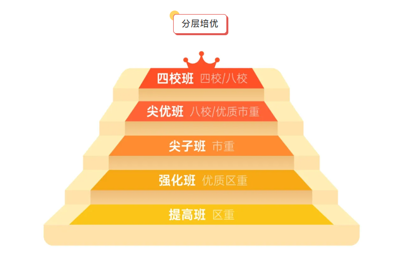 新王牌培优20周年5大感恩优惠-上海暑假辅导补习班