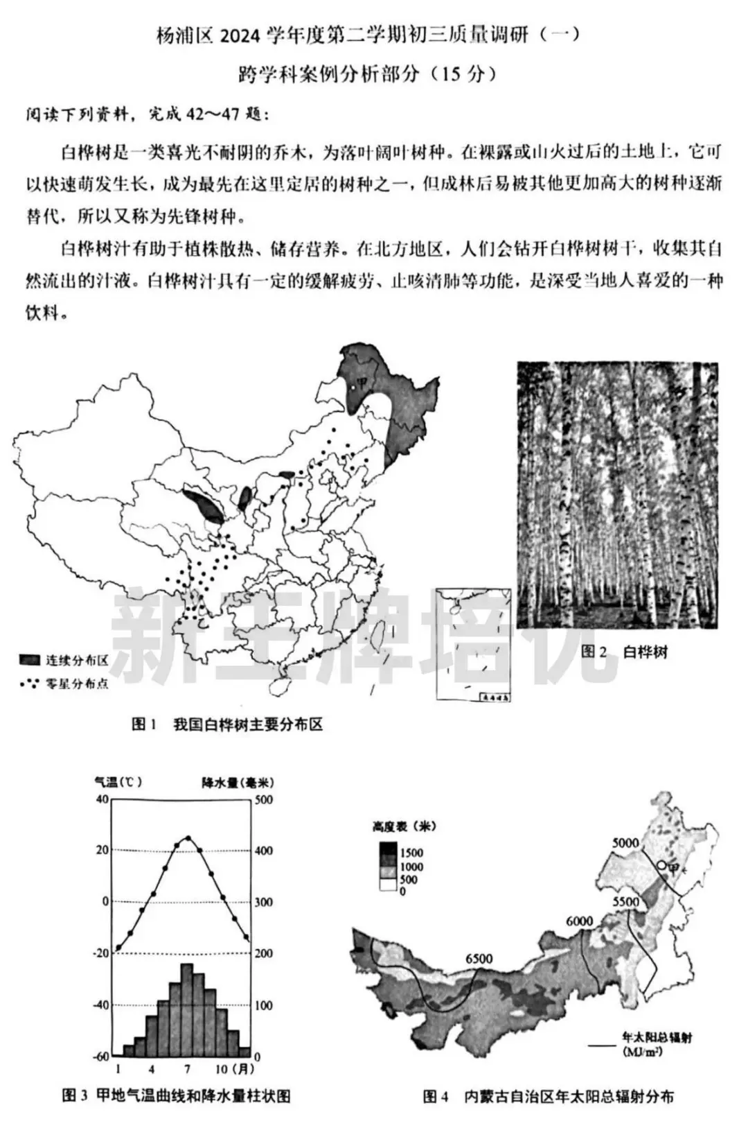 最新！杨浦初三二模试卷来啦！含语/物/化/跨学科