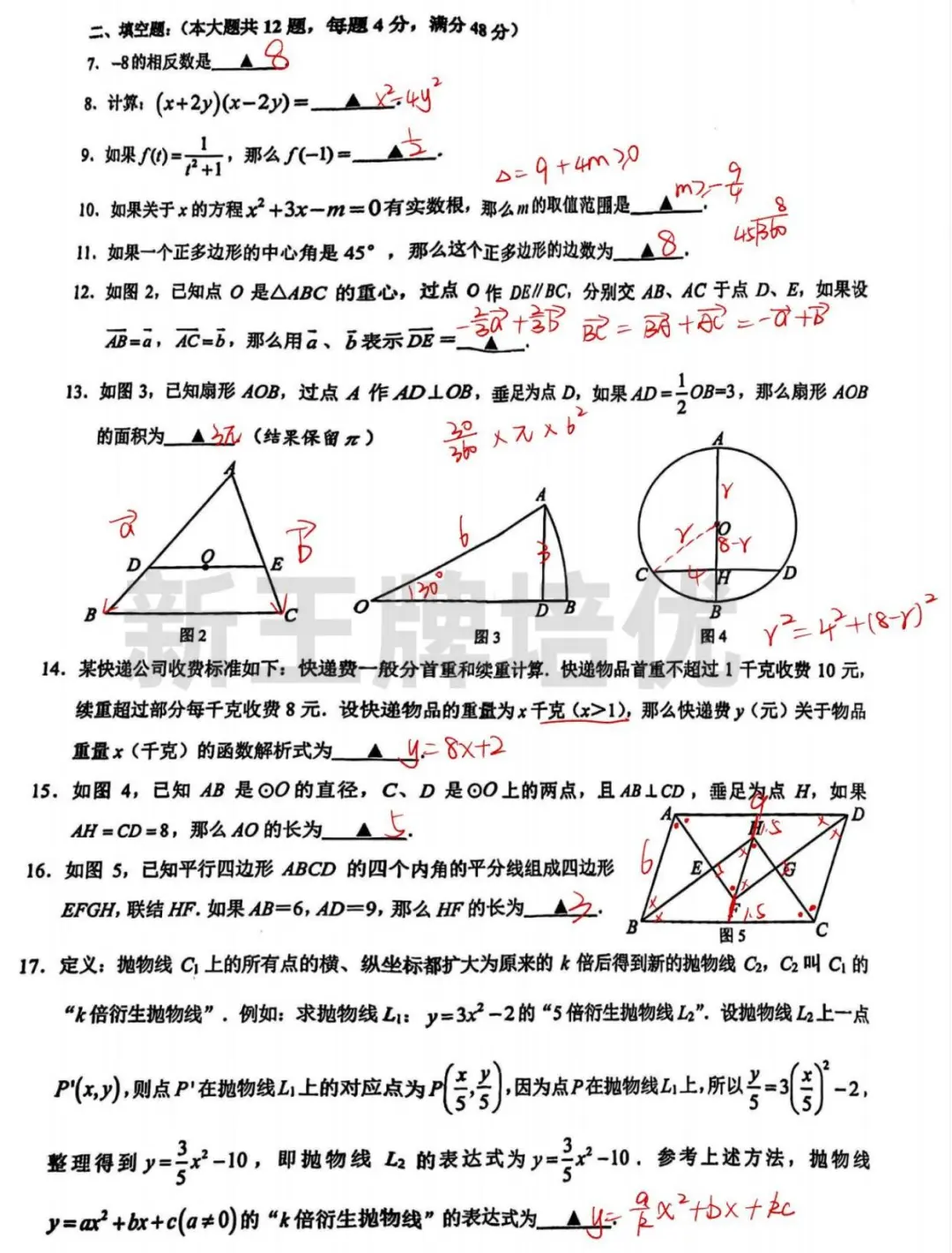 2025黄浦初三二模数/英/化解析+答案