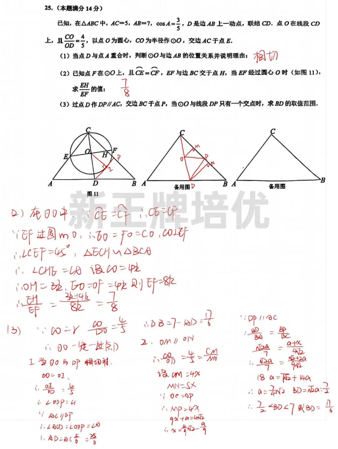 2025黄浦初三二模数/英/化解析+答案