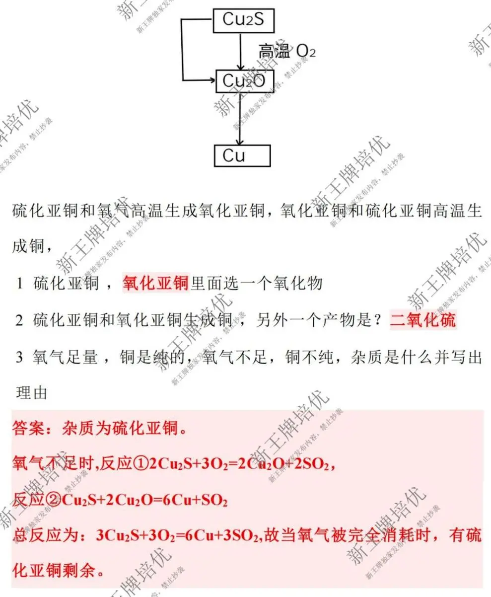 2025上海中考化学【较完整答案-回忆版】
