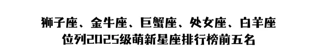 上海政法2025年本科新生大数据出炉,上海高中补习班