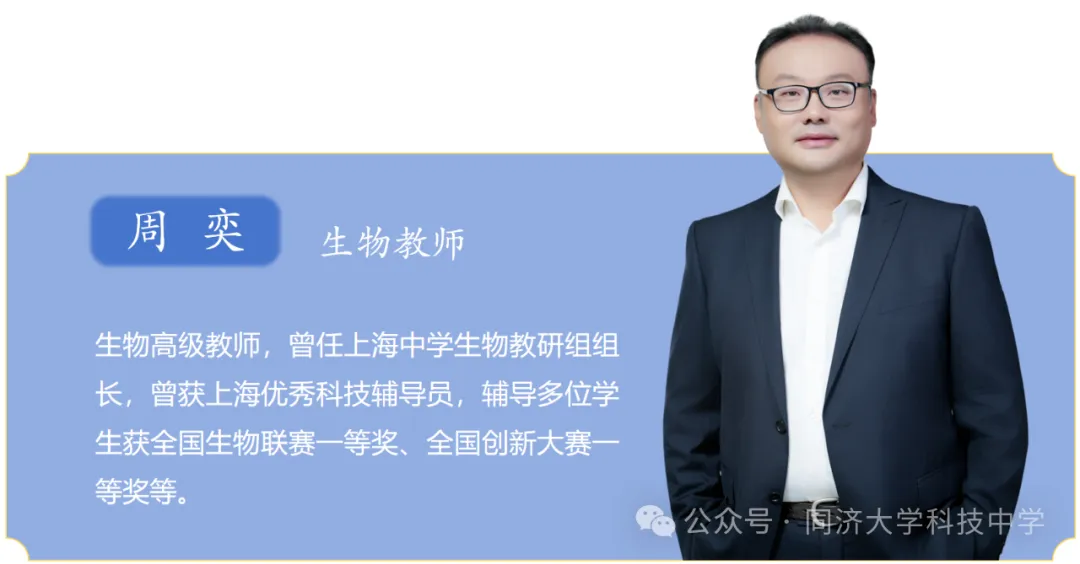 超强师资团队,四校,上海高中补习班